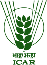 ICAR Logo